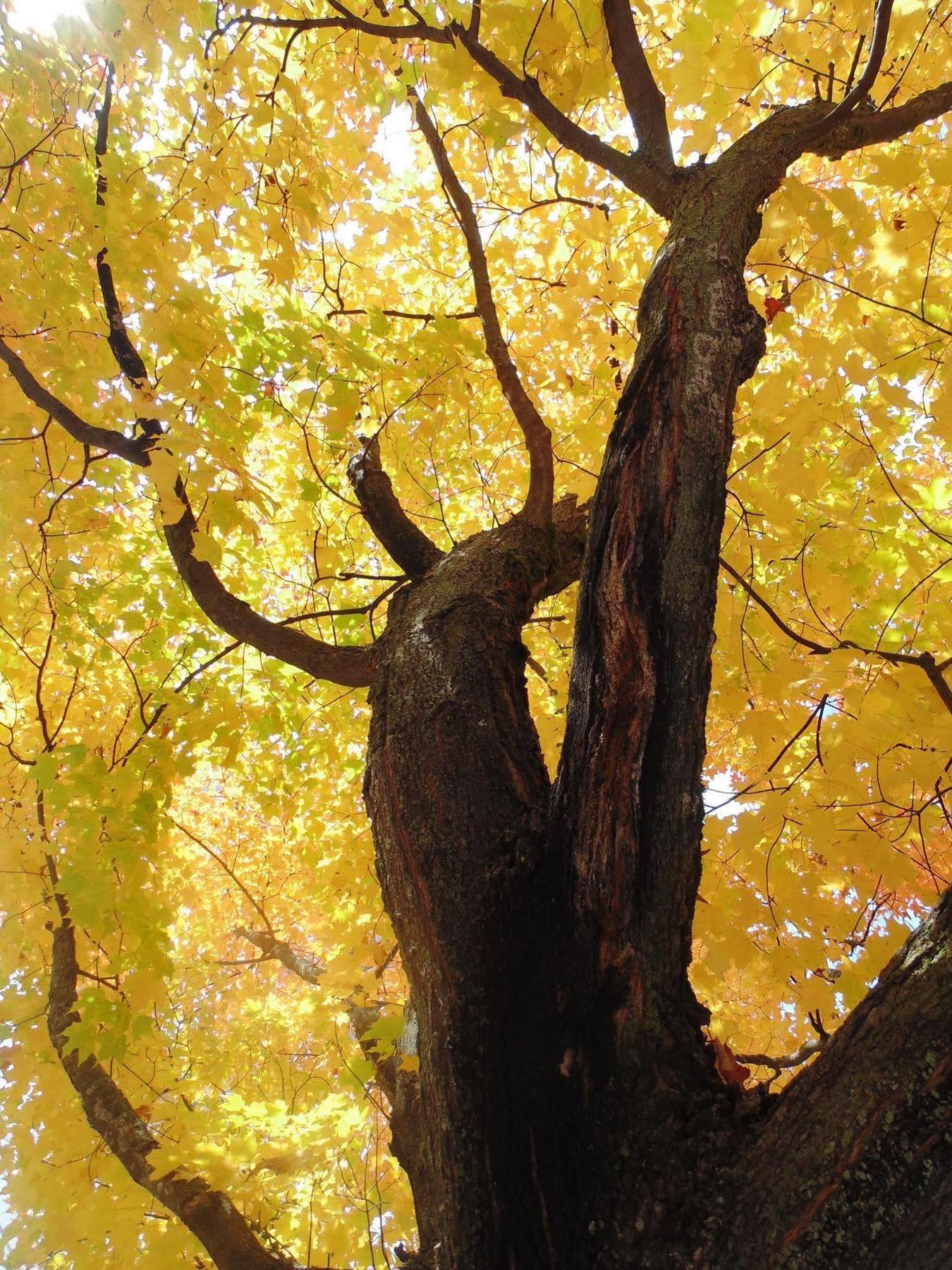 Gite La TemperanceCharette エクステリア 写真